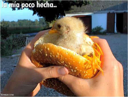 le cannarie se fait boufer 
